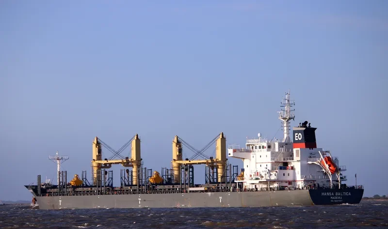 HANSA BALTICA Bulk Carrier IMO 9667057 photo 10