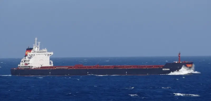 OCEANA Bulk Carrier IMO 9667095