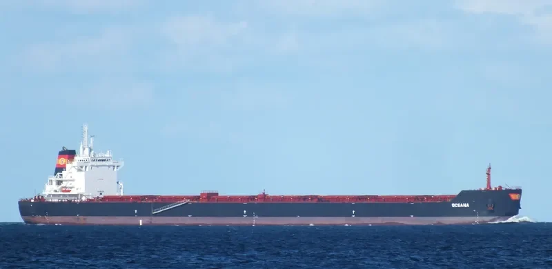 OCEANA Bulk Carrier IMO 9667095 photo 2