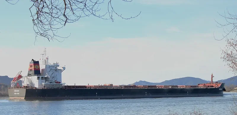 OCEANA Bulk Carrier IMO 9667095 photo 4