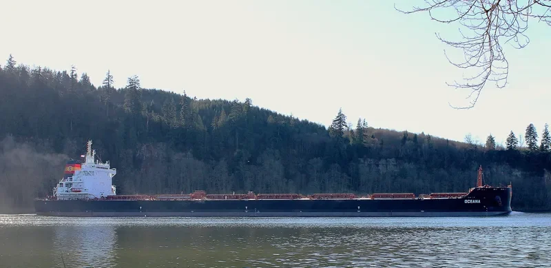 OCEANA Bulk Carrier IMO 9667095 photo 5