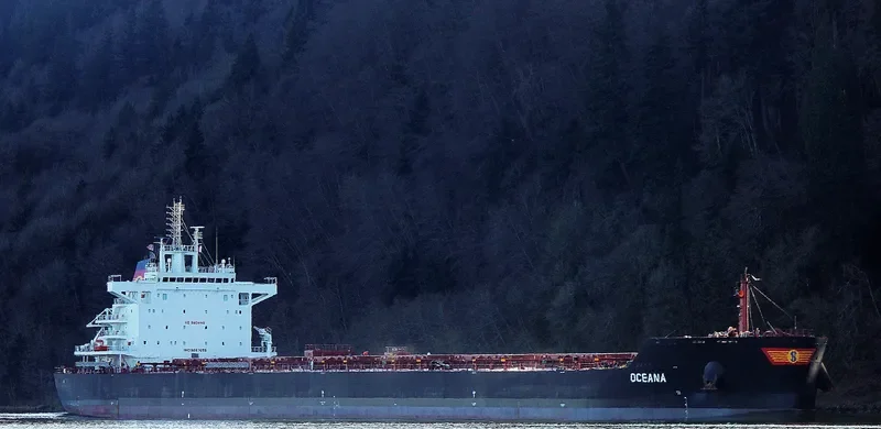OCEANA Bulk Carrier IMO 9667095 photo 6