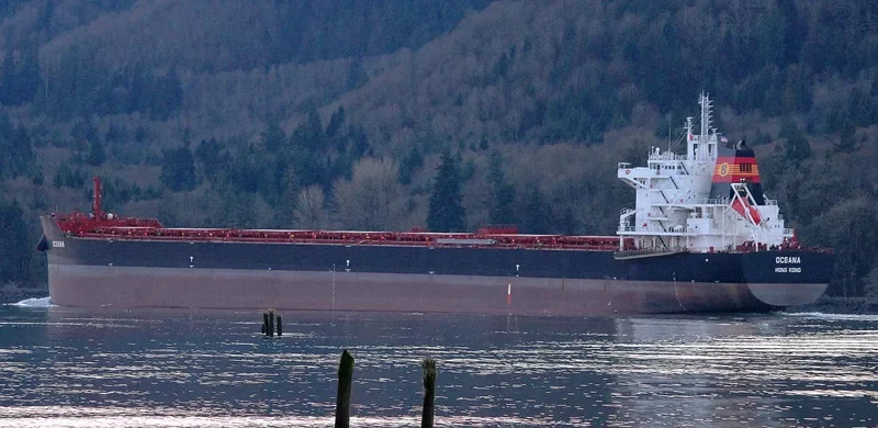 OCEANA Bulk Carrier IMO 9667095 photo 7