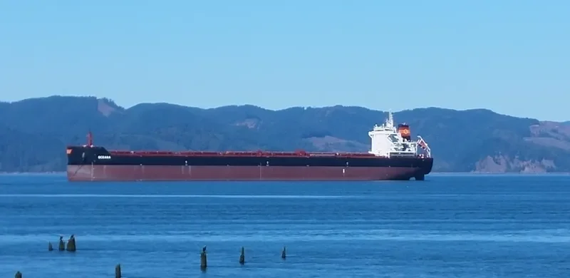 OCEANA Bulk Carrier IMO 9667095 photo 8