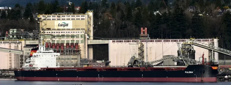 PALONA Bulk Carrier IMO 9667112