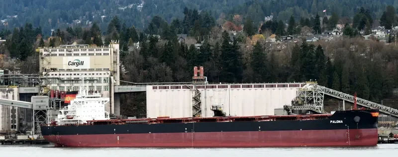 PALONA Bulk Carrier IMO 9667112 photo 2