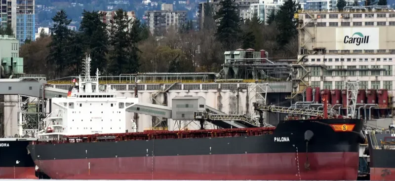 PALONA Bulk Carrier IMO 9667112 photo 3
