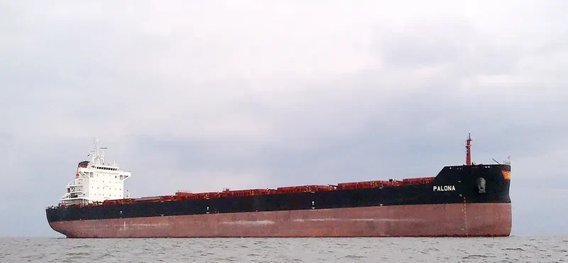 PALONA Bulk Carrier IMO 9667112 photo 4