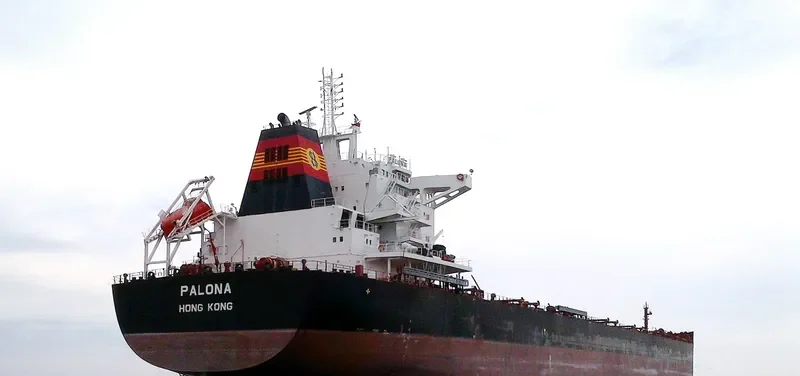 PALONA Bulk Carrier IMO 9667112 photo 5