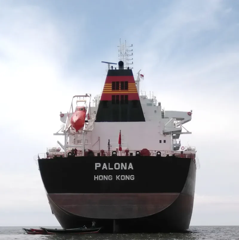 PALONA Bulk Carrier IMO 9667112 photo 6