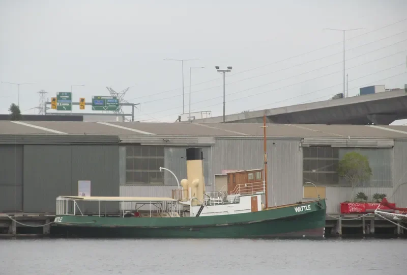 WATTLE General Cargo IMO 9667136 photo 3
