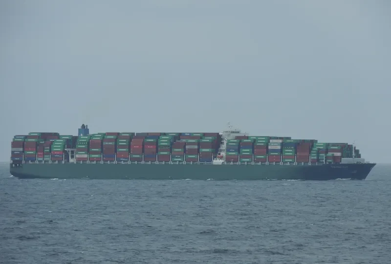 THALASSA MANA Container Ship IMO 9667150