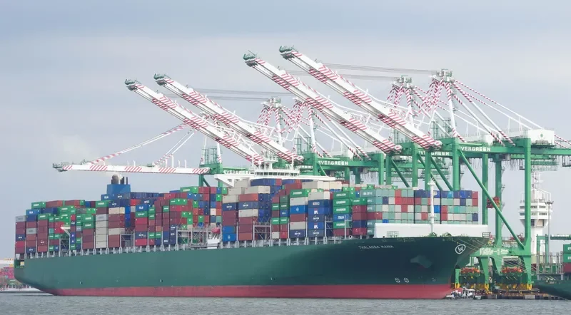 THALASSA MANA Container Ship IMO 9667150 photo 5