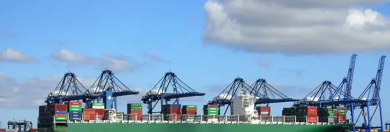 THALASSA MANA Container Ship IMO 9667150 photo 6