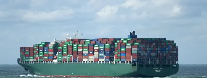 THALASSA MANA Container Ship IMO 9667150 photo 8