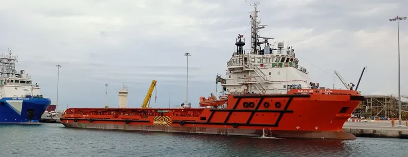 HALUL 42 Offshore Vessel IMO 9667198 photo 3