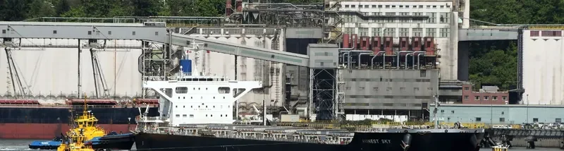 HONEST SKY Bulk Carrier IMO 9667306 photo 3