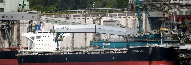 HONEST SKY Bulk Carrier IMO 9667306 photo 4