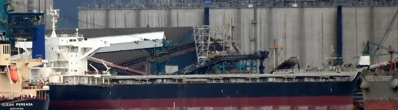 HONEST SKY Bulk Carrier IMO 9667306 photo 5