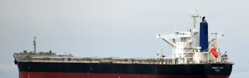 HONEST SKY Bulk Carrier IMO 9667306 photo 7