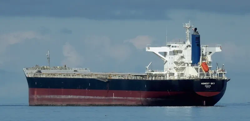 HONEST SKY Bulk Carrier IMO 9667306 photo 10