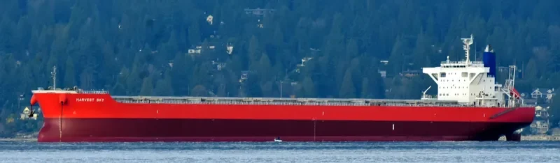 VENUS HARMONY Bulk Carrier IMO 9667332