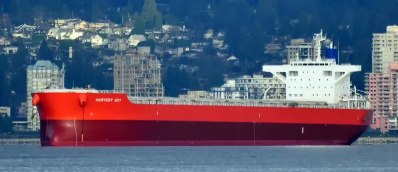 VENUS HARMONY Bulk Carrier IMO 9667332 photo 2