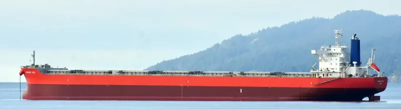 VENUS HARMONY Bulk Carrier IMO 9667332 photo 3
