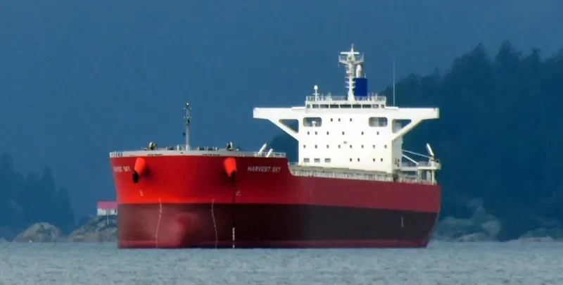 VENUS HARMONY Bulk Carrier IMO 9667332 photo 4