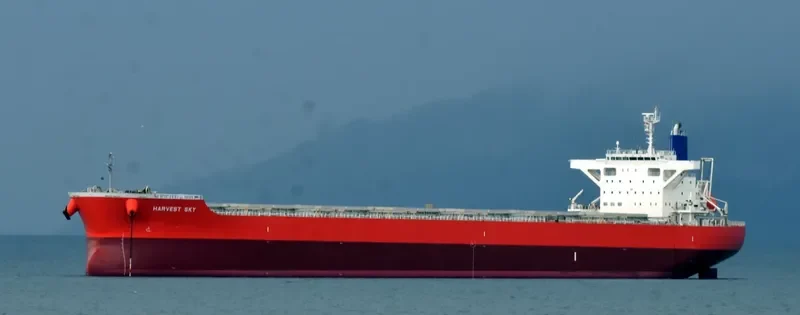 VENUS HARMONY Bulk Carrier IMO 9667332 photo 5