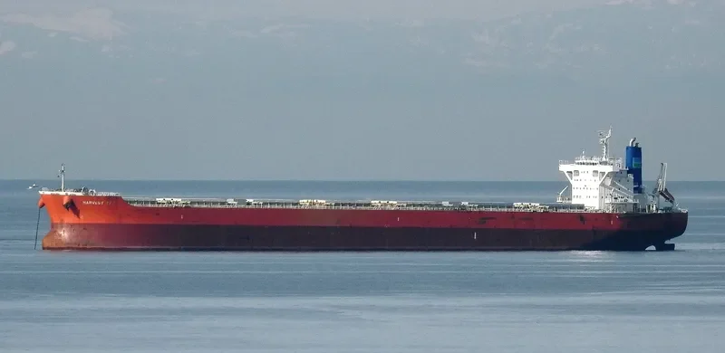 VENUS HARMONY Bulk Carrier IMO 9667332 photo 7