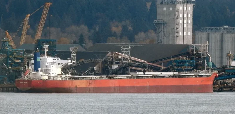 VENUS HARMONY Bulk Carrier IMO 9667332 photo 8