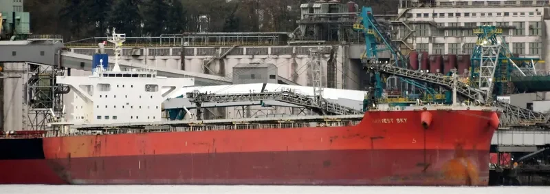 VENUS HARMONY Bulk Carrier IMO 9667332 photo 9