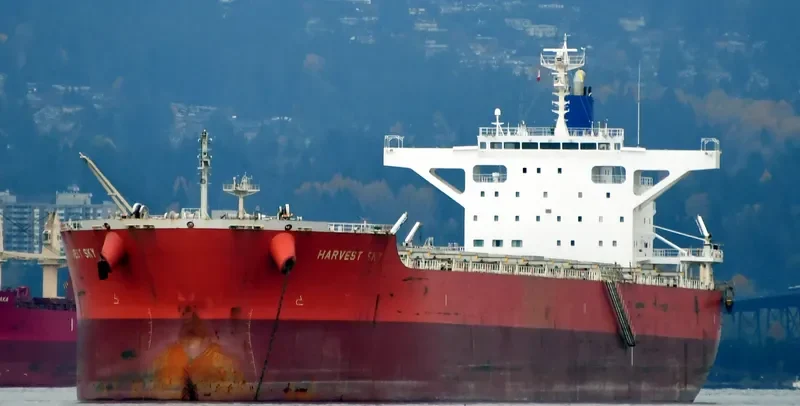 VENUS HARMONY Bulk Carrier IMO 9667332 photo 10