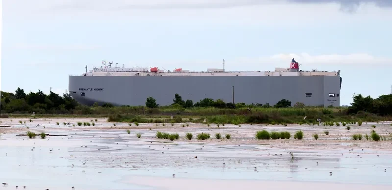 FREMANTLE HIGHWAY General Cargo IMO 9667344 photo 4