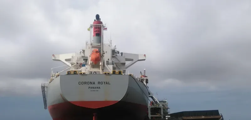 CORONA ROYAL Bulk Carrier IMO 9667356
