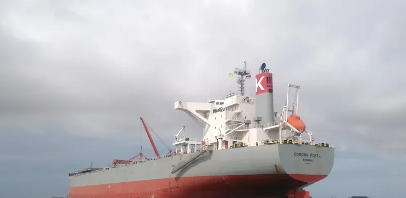 CORONA ROYAL Bulk Carrier IMO 9667356 photo 2