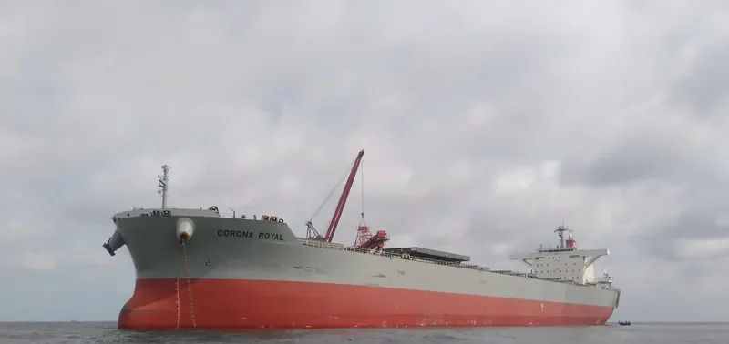 CORONA ROYAL Bulk Carrier IMO 9667356 photo 3