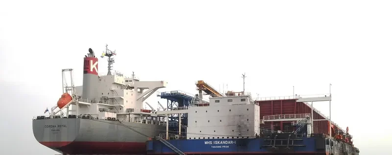 CORONA ROYAL Bulk Carrier IMO 9667356 photo 4