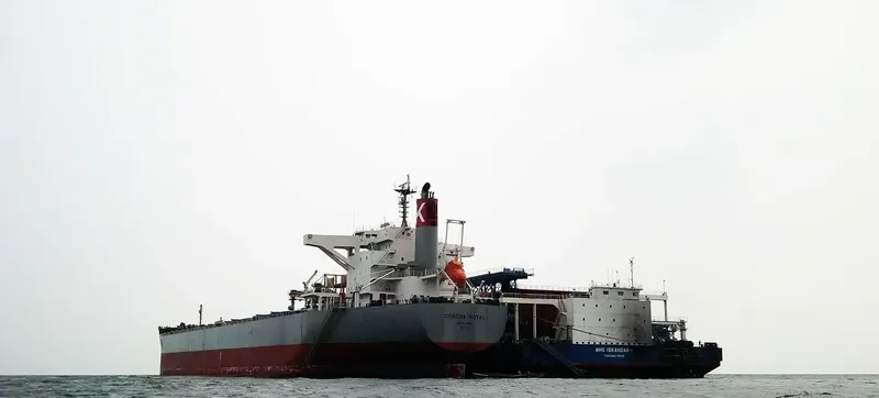 CORONA ROYAL Bulk Carrier IMO 9667356 photo 5