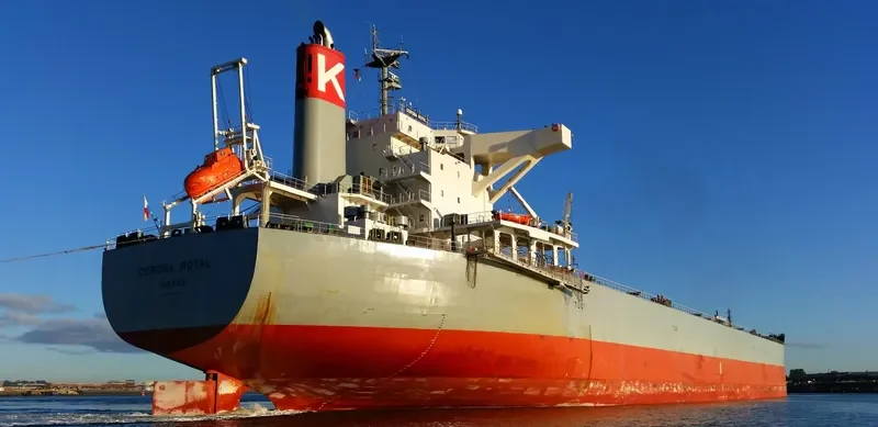 CORONA ROYAL Bulk Carrier IMO 9667356 photo 6