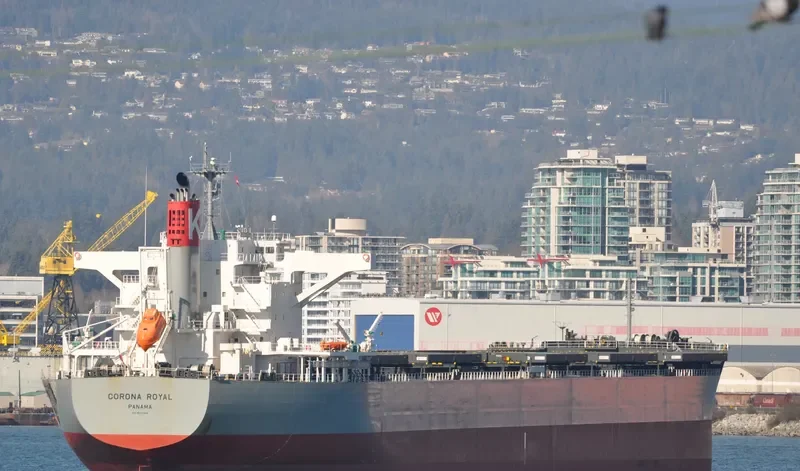 CORONA ROYAL Bulk Carrier IMO 9667356 photo 7