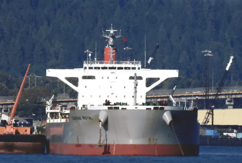 CORONA ROYAL Bulk Carrier IMO 9667356 photo 8
