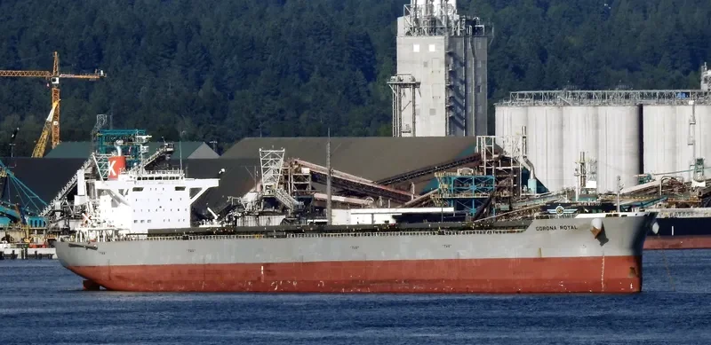 CORONA ROYAL Bulk Carrier IMO 9667356 photo 9