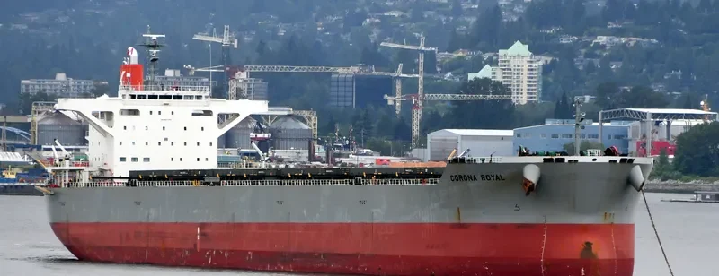 CORONA ROYAL Bulk Carrier IMO 9667356 photo 10