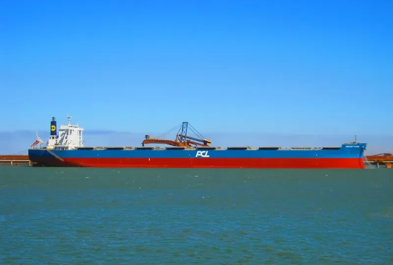 JUBILANT FUTURE Bulk Carrier IMO 9667411