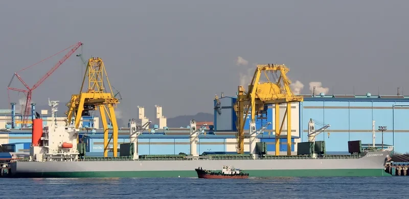 LOCOMOTION Bulk Carrier IMO 9667423 photo 2