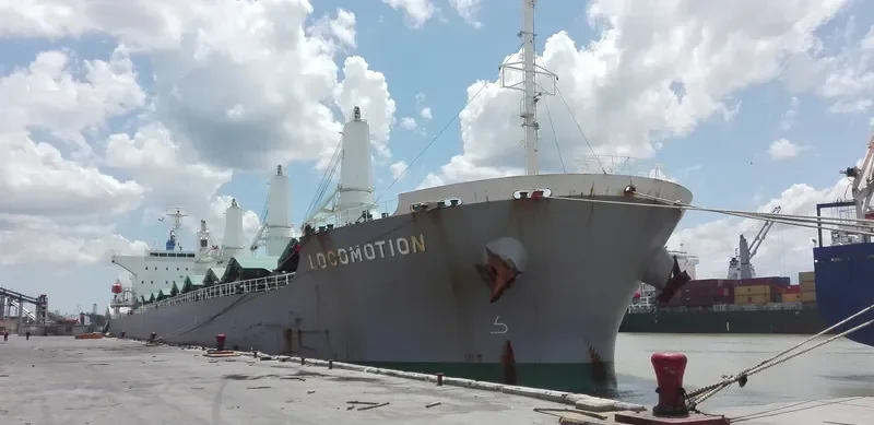 LOCOMOTION Bulk Carrier IMO 9667423 photo 4