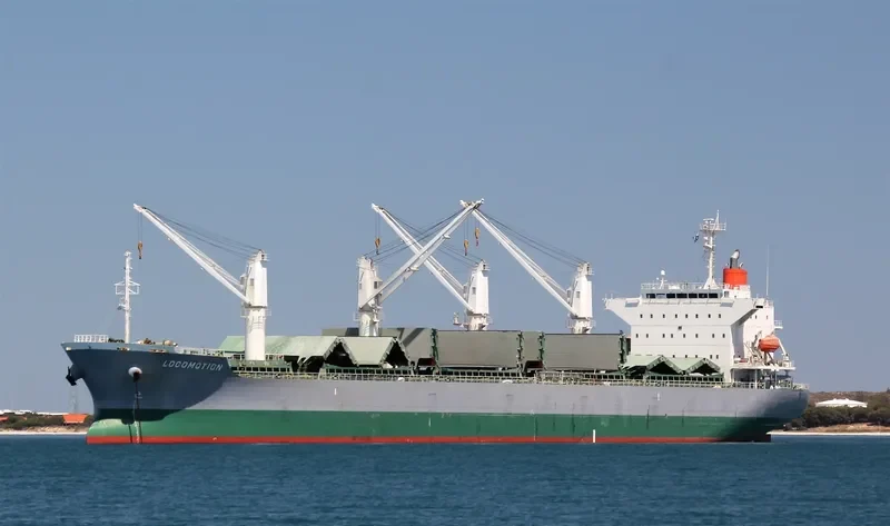 LOCOMOTION Bulk Carrier IMO 9667423 photo 23