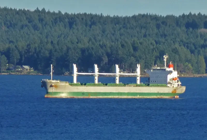 LOCOMOTION Bulk Carrier IMO 9667423 photo 27